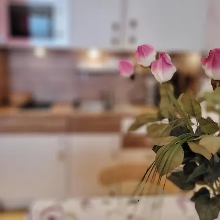 Theresia By Fis - Fun In Styria شقة باد ميترندورف